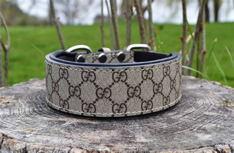 gucci dog shirts|Gucci dog collar for sale.